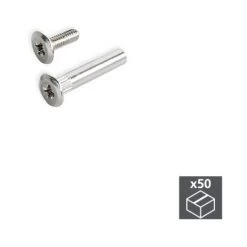 Emuca Vis, à Tête Extra-plate, 14 Mm + écrous M4, 50 Ut. - Talla