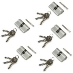 Emuca Cylindre De Serrure Europeen Pour Porte, 30 X 30 Mm, Embrayage Simple, Longue Came, 5 Clés, Aluminium, Nickel Satiné, 5 Se
